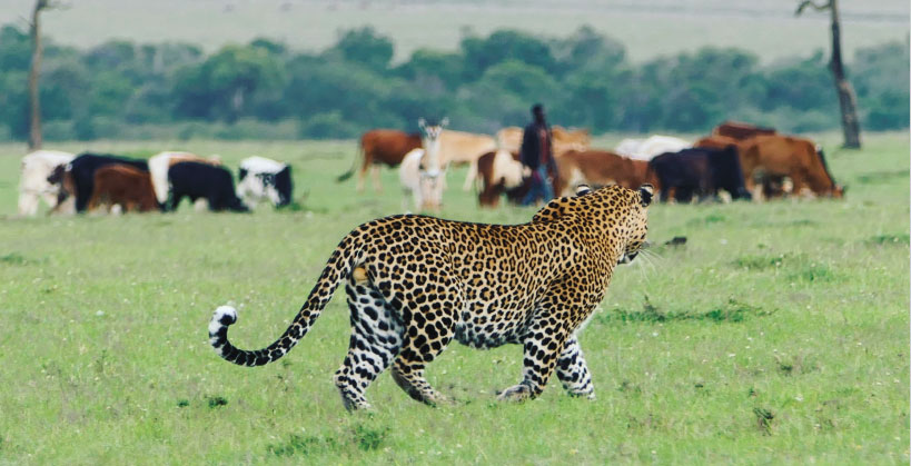 Enonkishu Conservancy