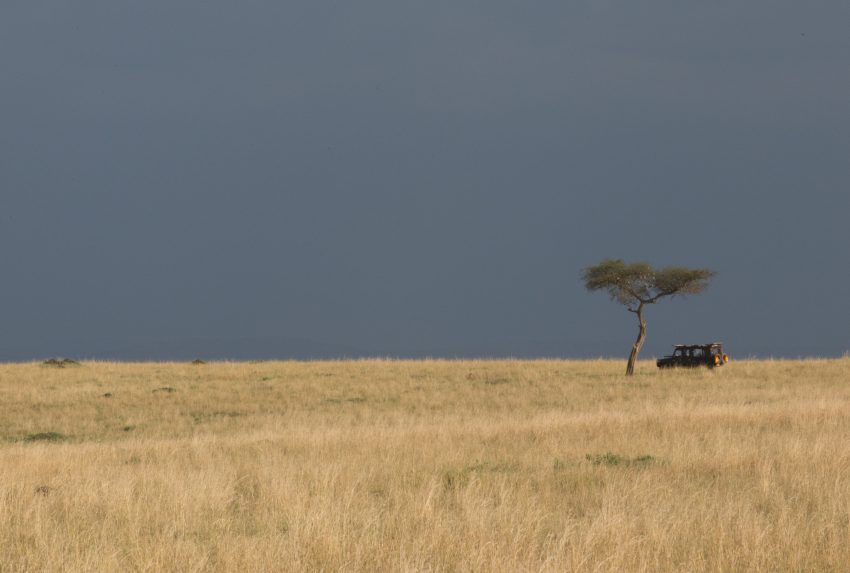 Maasai Mara- SimonJMorris-9