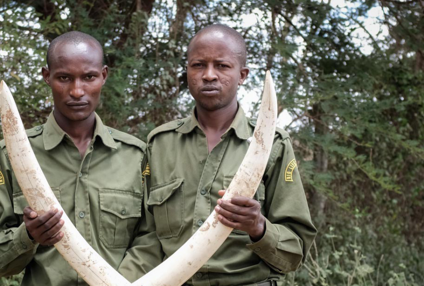 Big-Life-Foundation-Ivory