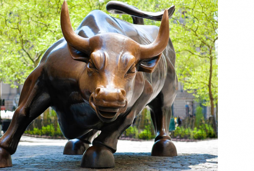 Wall-Street-Bull-Front-View copy